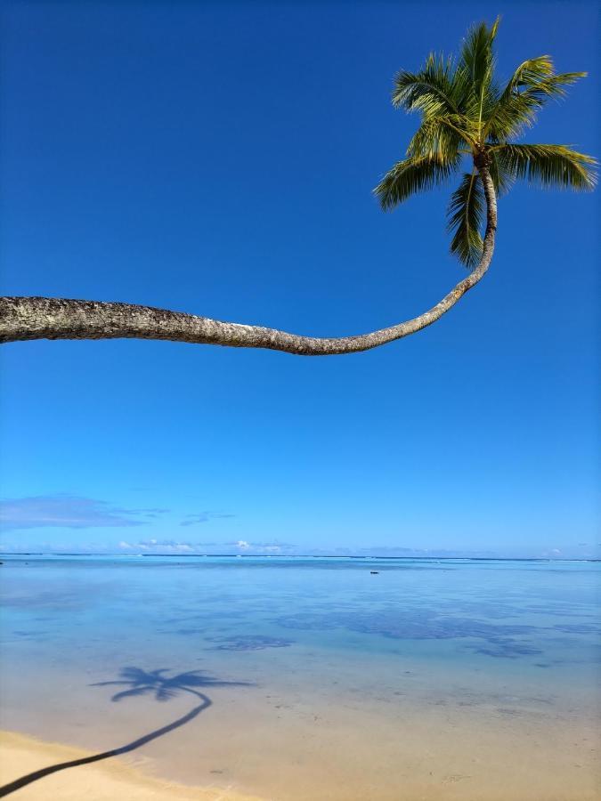 モーレア ビーチ ロッジ モーレア島 エクステリア 写真