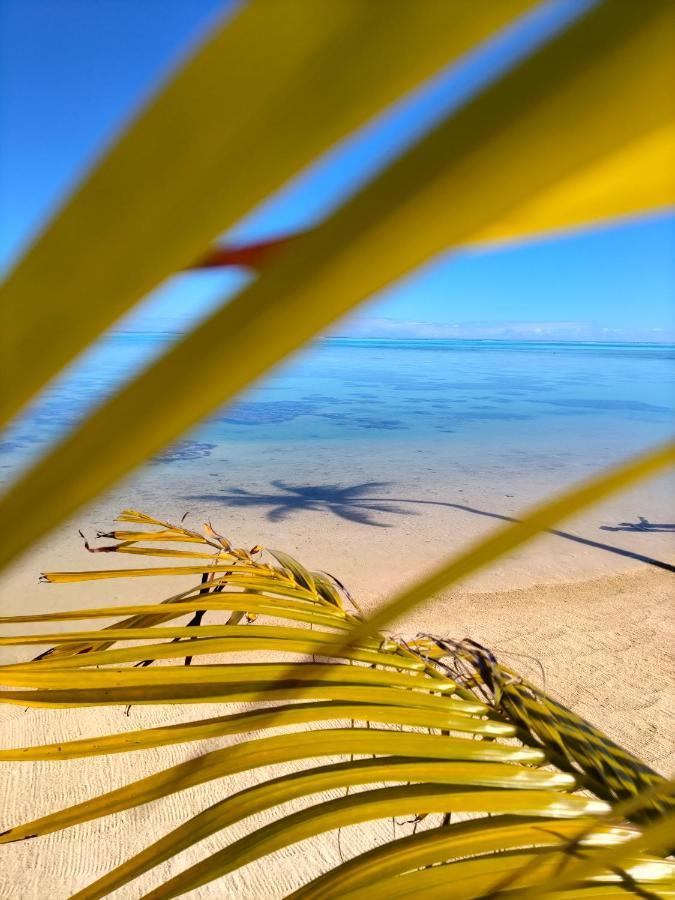 モーレア ビーチ ロッジ モーレア島 エクステリア 写真